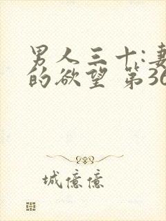 男人三十:妻子的欲望 第366章