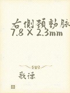 右侧颈动脉斑块7.8×2.3mm
