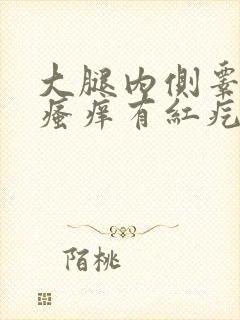 大腿内侧睾丸上瘙痒有红疙瘩