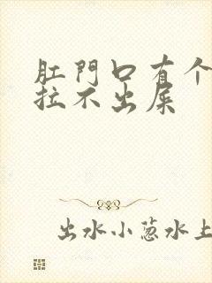 肛门口有个肉球拉不出屎