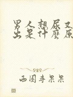 男人想尿又尿不出是什么原因