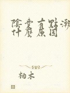 阴囊有点潮湿是什么原因