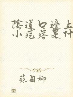 阴道口边上长了小疙瘩是什么原因