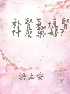 补肾气填肾精吃什么药好?