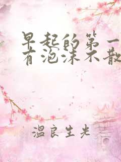 早起的第一泡尿有泡沫不散