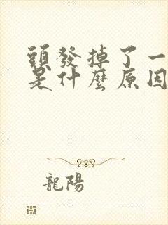 头发掉了一小块是什么原因