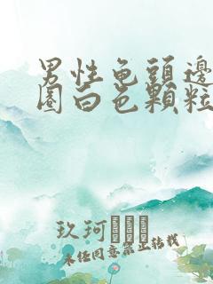 男性龟头边缘一圈白色颗粒