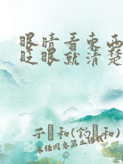 眼睛看东西模糊眨眼就清楚