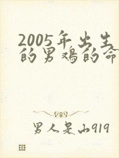2005年出生的男鸡的命运