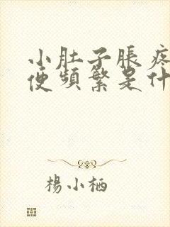 小肚子胀疼,小便频繁是什么原因