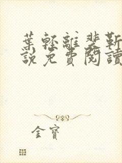 叶轻离裴靳墨小说免费阅读无弹窗