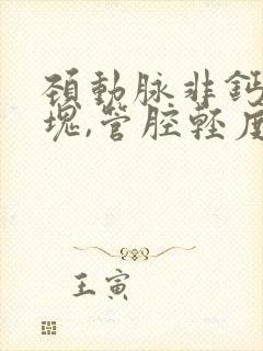 颈动脉非钙化斑块,管腔轻度狭窄