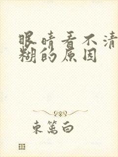 眼晴看不清楚模糊的原因