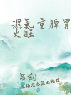 湿气重脾胃虚心火旺