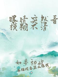 眼睛突然看东西模糊不清