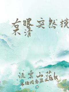 右眼突然模糊看不清