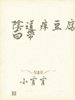 阴道痒豆腐渣状白带