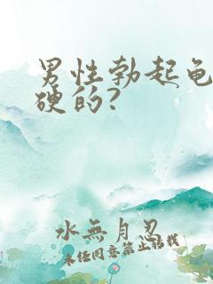 男性勃起龟头是硬的?