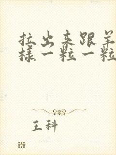 拉出来跟羊屎一样一粒一粒