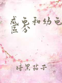 成龟和幼龟怎么区分