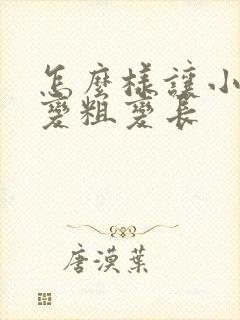 怎么样让小弟弟变粗变长