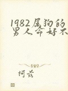 1982属狗的男人命好不好