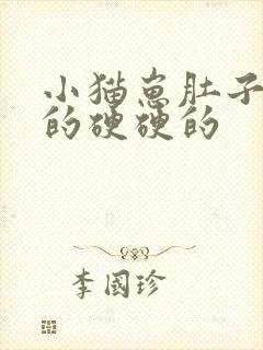 小猫崽肚子鼓鼓的硬硬的