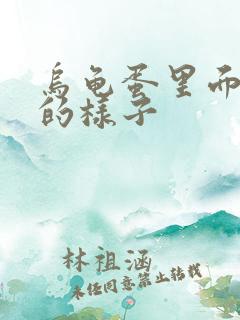 乌龟蛋里面有水的样子