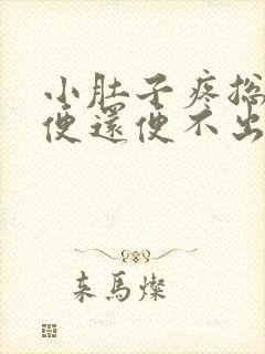 小肚子疼总想大便还便不出来是什么原因