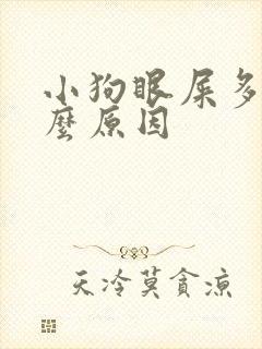 小狗眼屎多是什么原因