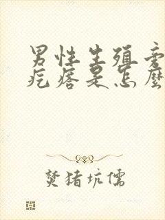 男性生殖旁边小疙瘩是怎么回事儿