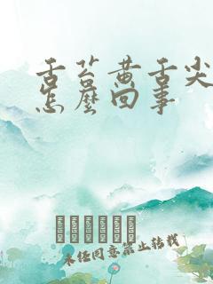 舌苔黄舌尖红是怎么回事