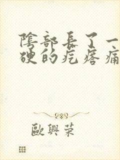 阴部长了一个硬硬的疙瘩痛