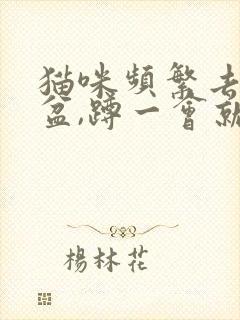 猫咪频繁去猫砂盆,蹲一会就出来,没有尿