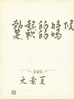 勃起的时候龟头是软的吗