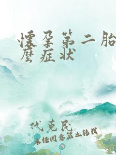 怀孕第二胎有什么症状