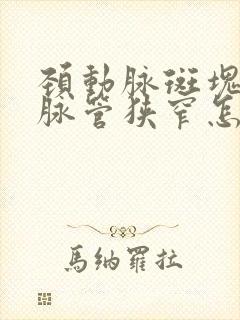 颈动脉斑块致动脉管狭窄怎么治