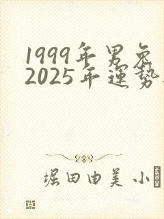 1999年男兔2025年运势与情感