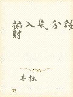 插入几分钟算早射