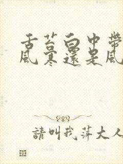 舌苔白中带黄是风寒还是风热