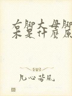 右脚大母脚趾麻木是什么原因引起的怎么治疗