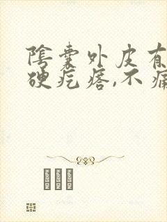 阴囊外皮有个小硬疙瘩,不痛不痒