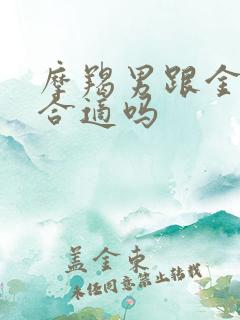 摩羯男跟金牛女合适吗