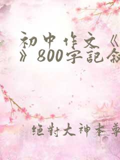 初中作文《取舍》800字记叙文