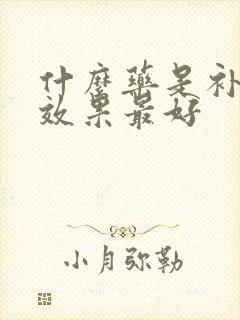 什么药是补肾的效果最好