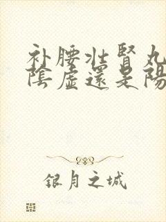 补腰壮肾丸是治阴虚还是阳虚