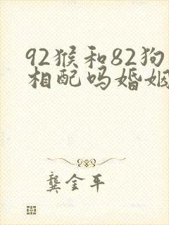 92猴和82狗相配吗婚姻