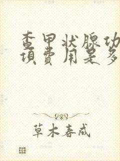 查甲状腺功能八项费用是多少钱?