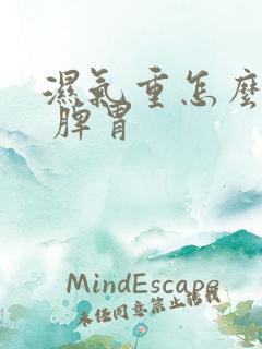 湿气重怎么调理 脾胃