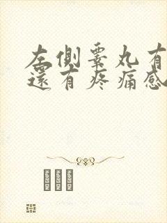 左侧睾丸有点肿还有疼痛感